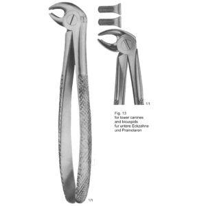 Tooth Extracting Forceps (English Pattern)